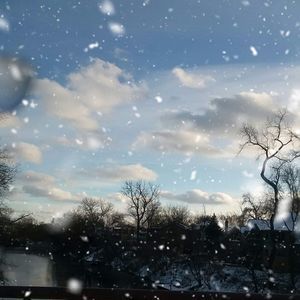 Meet your Posher, Carolina